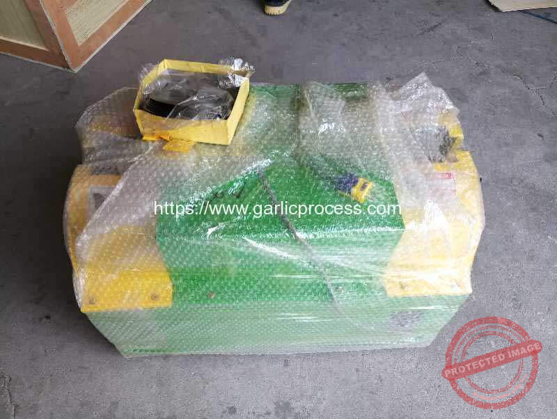 Automatic-Garlic-Root-and-Stem-Cutting-Machine-for-Jordan-Customer